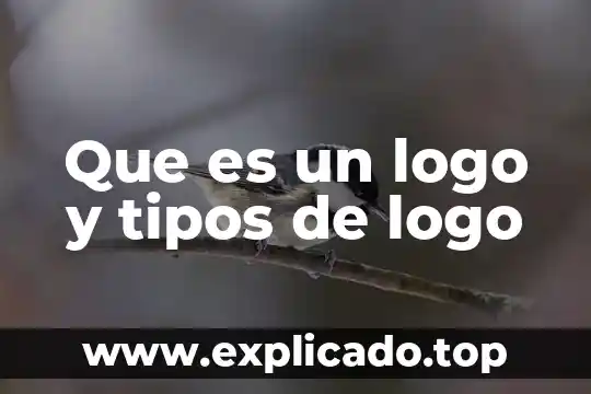 Que es un logo y tipos de logo