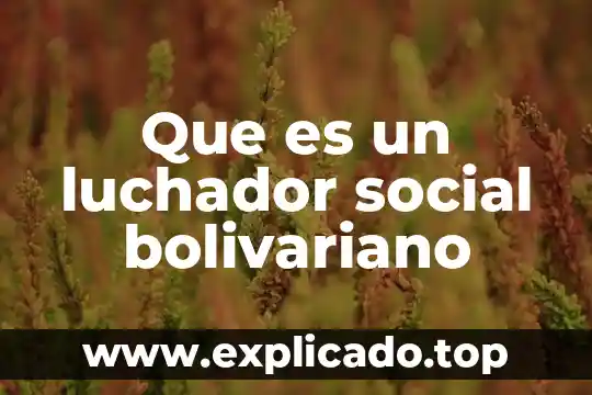 Qué es la pobreza en lo social 6 Que es un luchador social bolivariano
