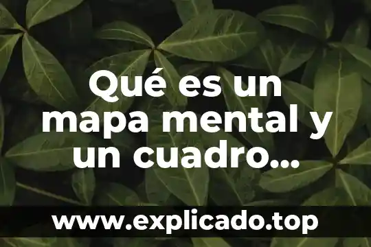 Que es la valoracion motriz mapa mental 4 Qué es un mapa mental y un cuadro comparativo