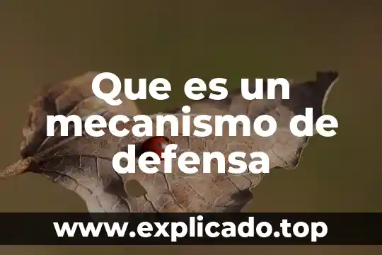 Que es un tipo de defensa fiscal 4 Que es un mecanismo de defensa