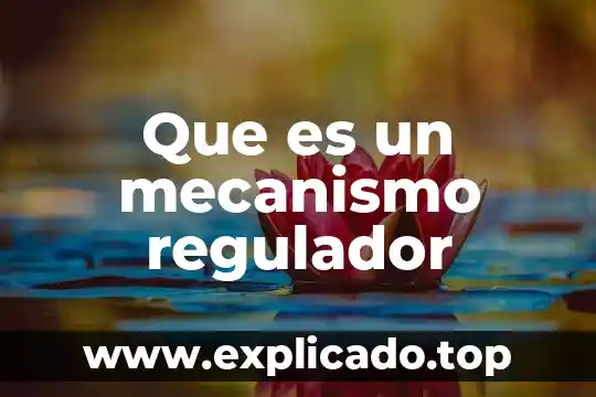 Qué es el mecanismo de infección 5 Que es un mecanismo regulador