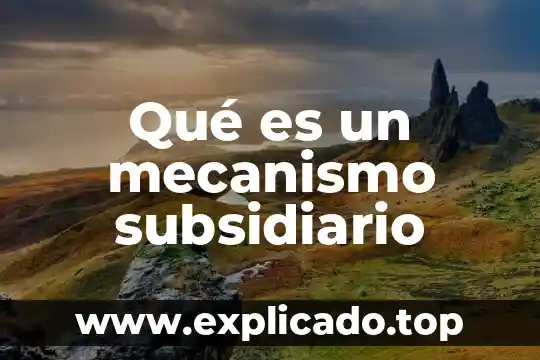 Qué es el mecanismo de infección 8 Qué es un mecanismo subsidiario