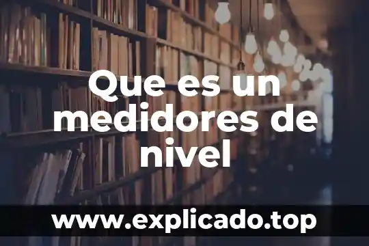 Que es el nivel de generalidad 4 Que es un medidores de nivel