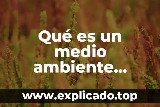 Qué es el medio ambiente para niños de preescolar definición 5 Qué es un medio ambiente hostil