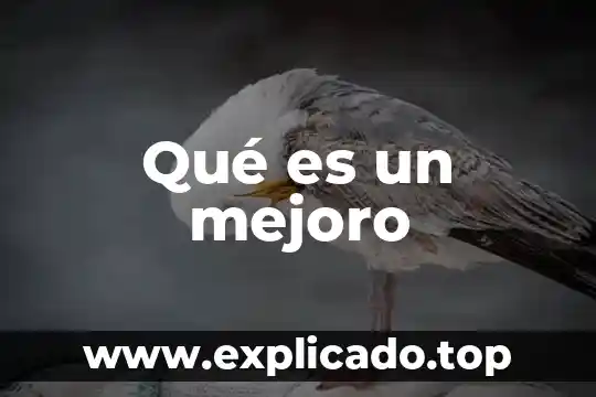 Que es agua de rosas y para que sirve 5 Qué es un mejoro