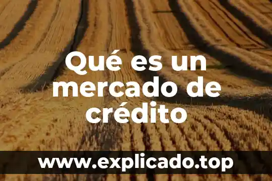 Estudio mercado que es lo que quiere la gente 8 Qué es un mercado de crédito