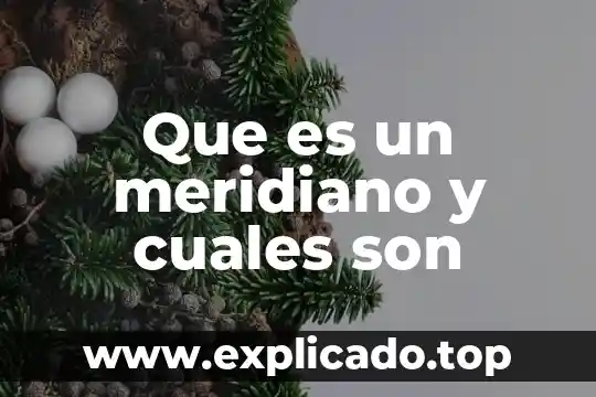 Que es un navegador y cuales son los mas utilizados 3 Que es un meridiano y cuales son