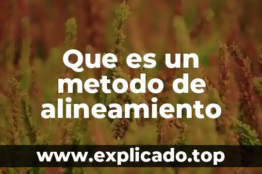 Que es el metodo de cubo en la criminalistica 5 Que es un metodo de alineamiento
