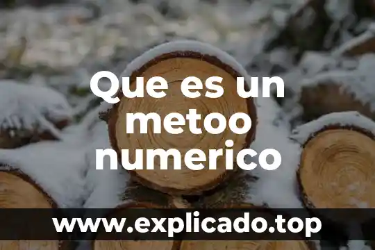Que es una clasificacion de sistema numerico 8 Que es un metoo numerico