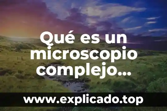 Que es una escala en un dibujo 5 Qué es un microscopio complejo dibujo y sus partes