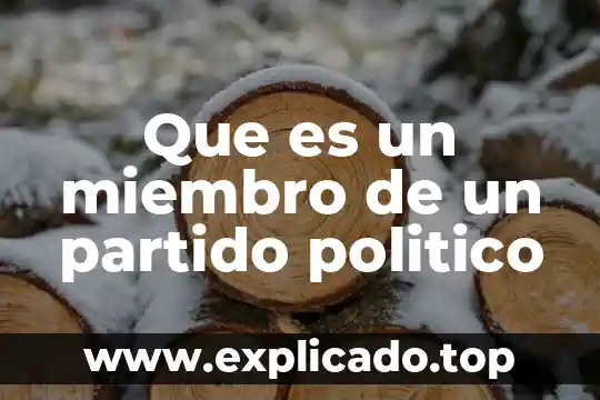 Que es un emprendedor político 3 Que es un miembro de un partido politico