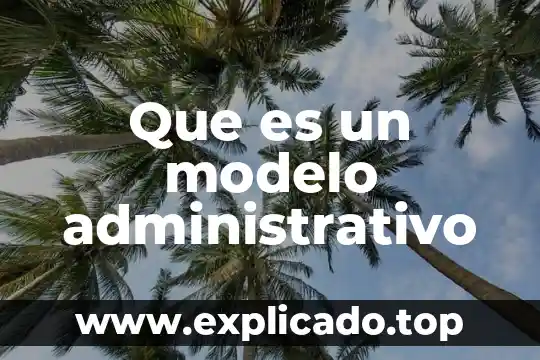 Que es programacion administrativo 7 Que es un modelo administrativo