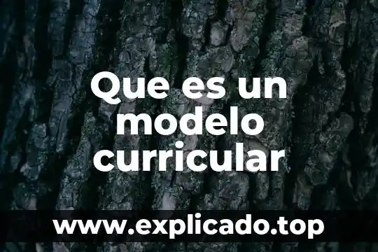 Que es un modelo curricular