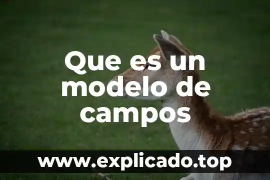Campos disciplinares que es 5 Que es un modelo de campos