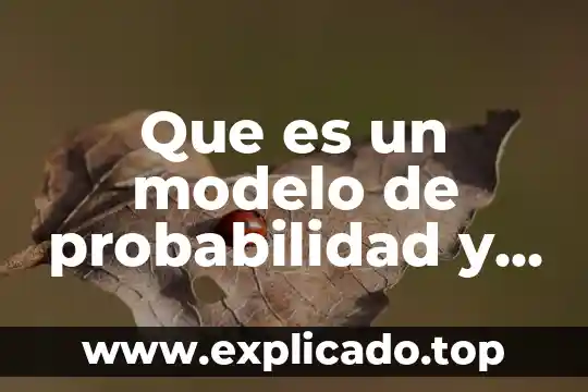 Que es el modelo ganar ganar 5 Que es un modelo de probabilidad y estructura