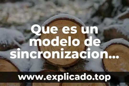 Que es la definición de sistema en simulacion 6 Que es un modelo de sincronizacion simulacion