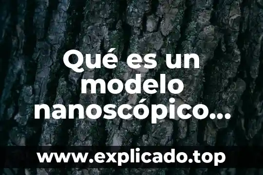 Que es un concepto fundamental 7 Qué es un modelo nanoscópico concepto