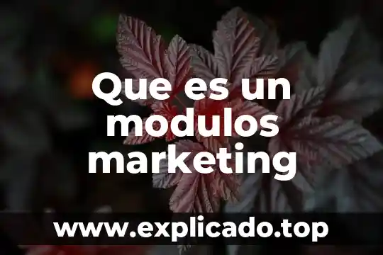 Que es el integrated marketing communications 4 Que es un modulos marketing