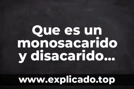 Qué es químicamente una grasa 6 Que es un monosacarido y disacarido quimicamente