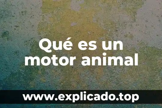 Efecto sheer que es 7 Qué es un motor animal