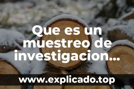 Concepto de acta de muestreo que es 3 Que es un muestreo de investigacion social