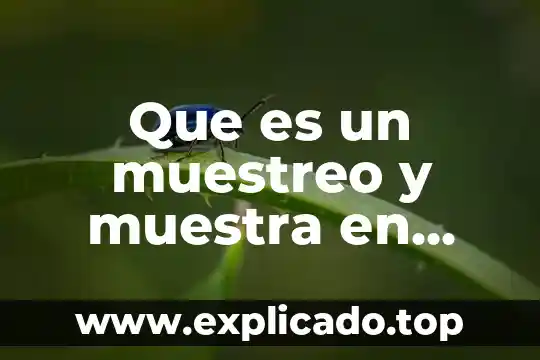 Concepto de acta de muestreo que es 5 Que es un muestreo y muestra en alimentos