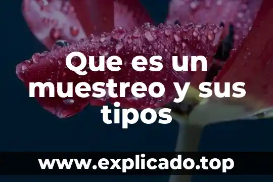 Que es un muestreo y sus tipos