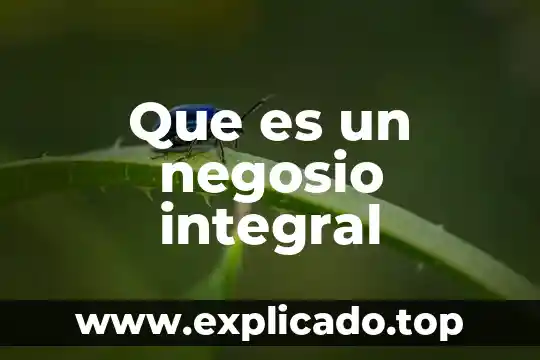 Que es un negosio integral