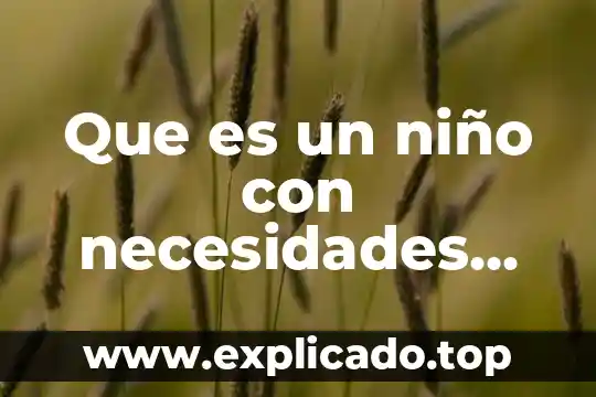 Que es una empresa de servicios especiales 5 Que es un niño con necesidades educativas especiales