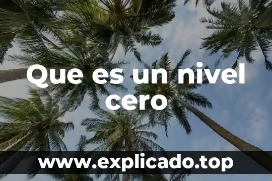 Qué es el nivel silábico 4 Que es un nivel cero
