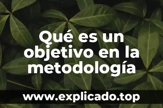 Qué es la micro enseñanza objetivo 6 Qué es un objetivo en la metodología