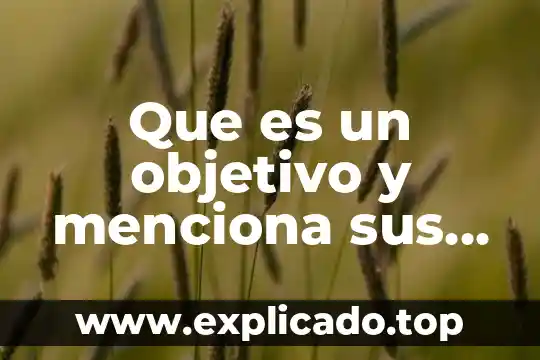 Qué es inmate en inglés 4 Que es un objetivo y menciona sus usos