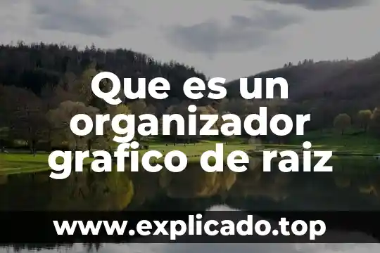 Raíz ambiental que es 8 Que es un organizador grafico de raiz