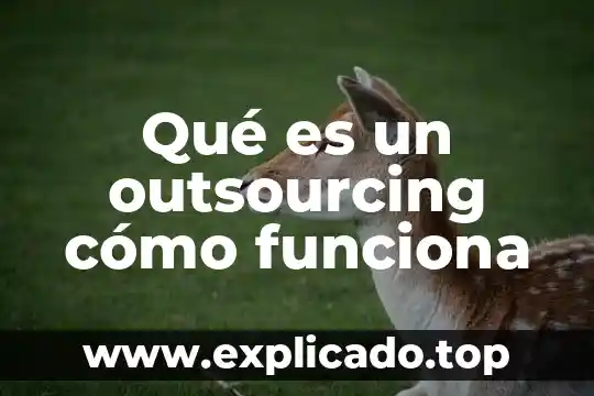 Outsourcing que es en economía 5 Qué es un outsourcing cómo funciona