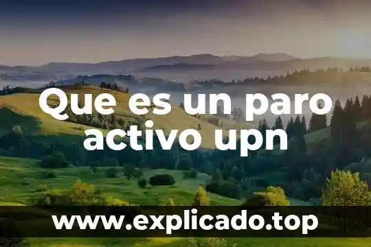 Carbon vegetal activo para que es 3 Que es un paro activo upn