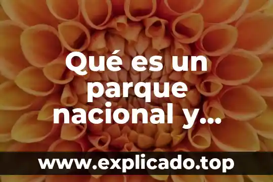 Qué es el amor y cuantos tipos de amor hay 5 Qué es un parque nacional y cuántos existen en México