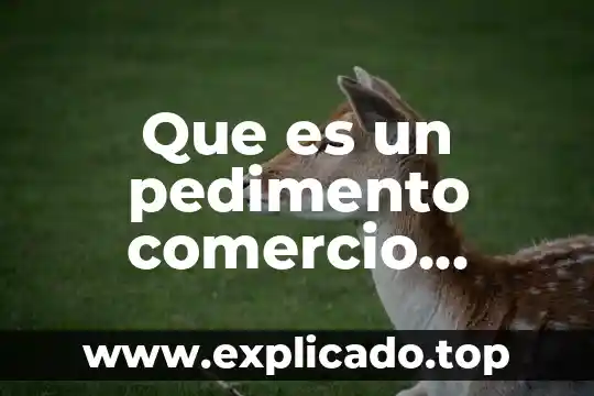 Por que es importante la rfc en una empresa 5 Que es un pedimento comercio exterior