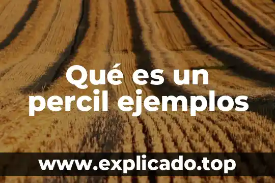 Qué es servicio al cliente con ejemplos 3 Qué es un percil ejemplos