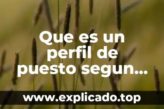 Que es la clasificacion autores 8 Que es un perfil de puesto segun autores