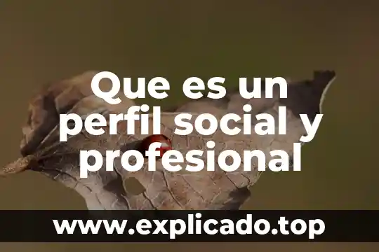 Qué es un perfil complejo arquitectura 7 Que es un perfil social y profesional