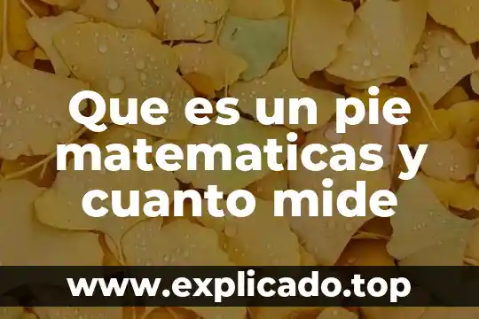 Qué es un pie cuadrado 6 Que es un pie matematicas y cuanto mide