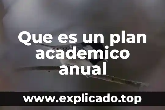 Que es un plan academico anual