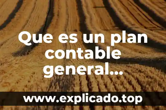 Que es analisis contable 7 Que es un plan contable general empresarial