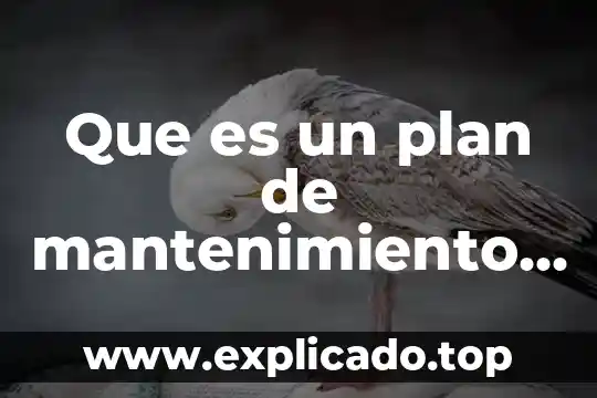 Que es un plan de mantenimiento a laego