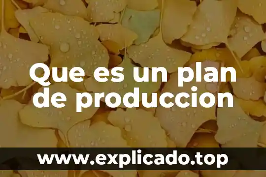 Que es un plan de produccion