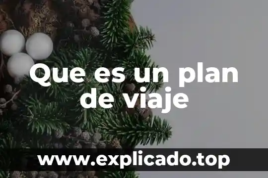 Que es un plan de viaje