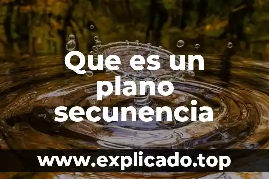 Qué es el plano caudal 7 Que es un plano secunencia