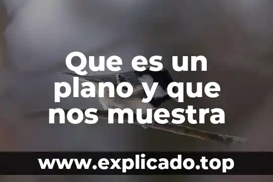 Que es un zodiaco y para que nos sirve 8 Que es un plano y que nos muestra