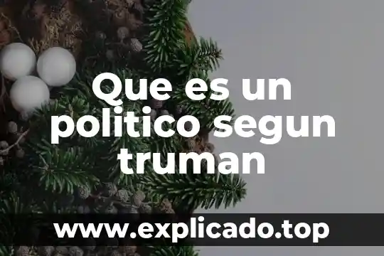 Que es un emprendedor político 5 Que es un politico segun truman