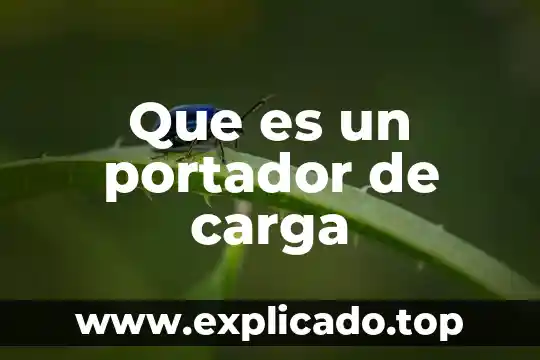 Que es carga de materias 5 Que es un portador de carga
